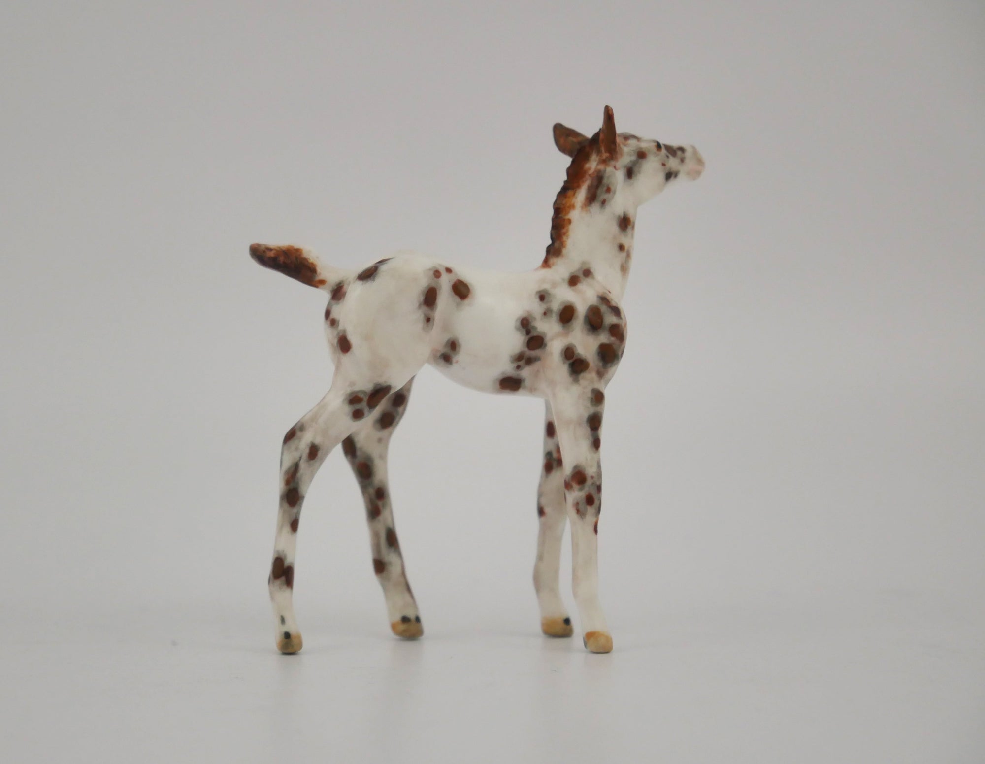 MUDDLETRIX -OOAK CHESTNUT LEOPARD APPALOOSA FOAL BY ANDREA