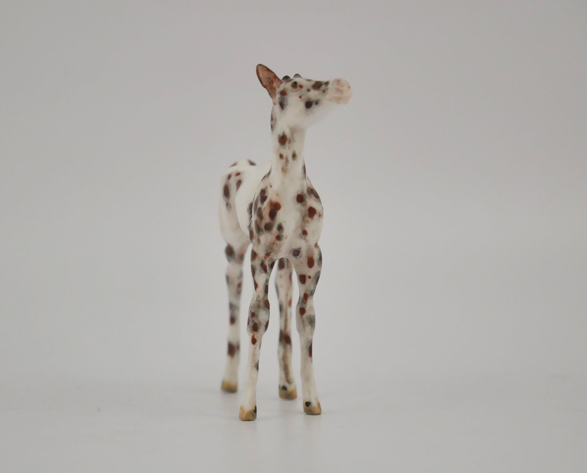MUDDLETRIX -OOAK CHESTNUT LEOPARD APPALOOSA FOAL BY ANDREA