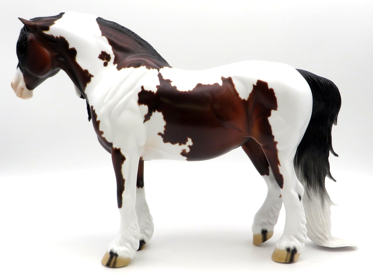 Nadia-OOAK Bay Pinto Heavy Drafter Painted by Carrie Keller 1/10/21