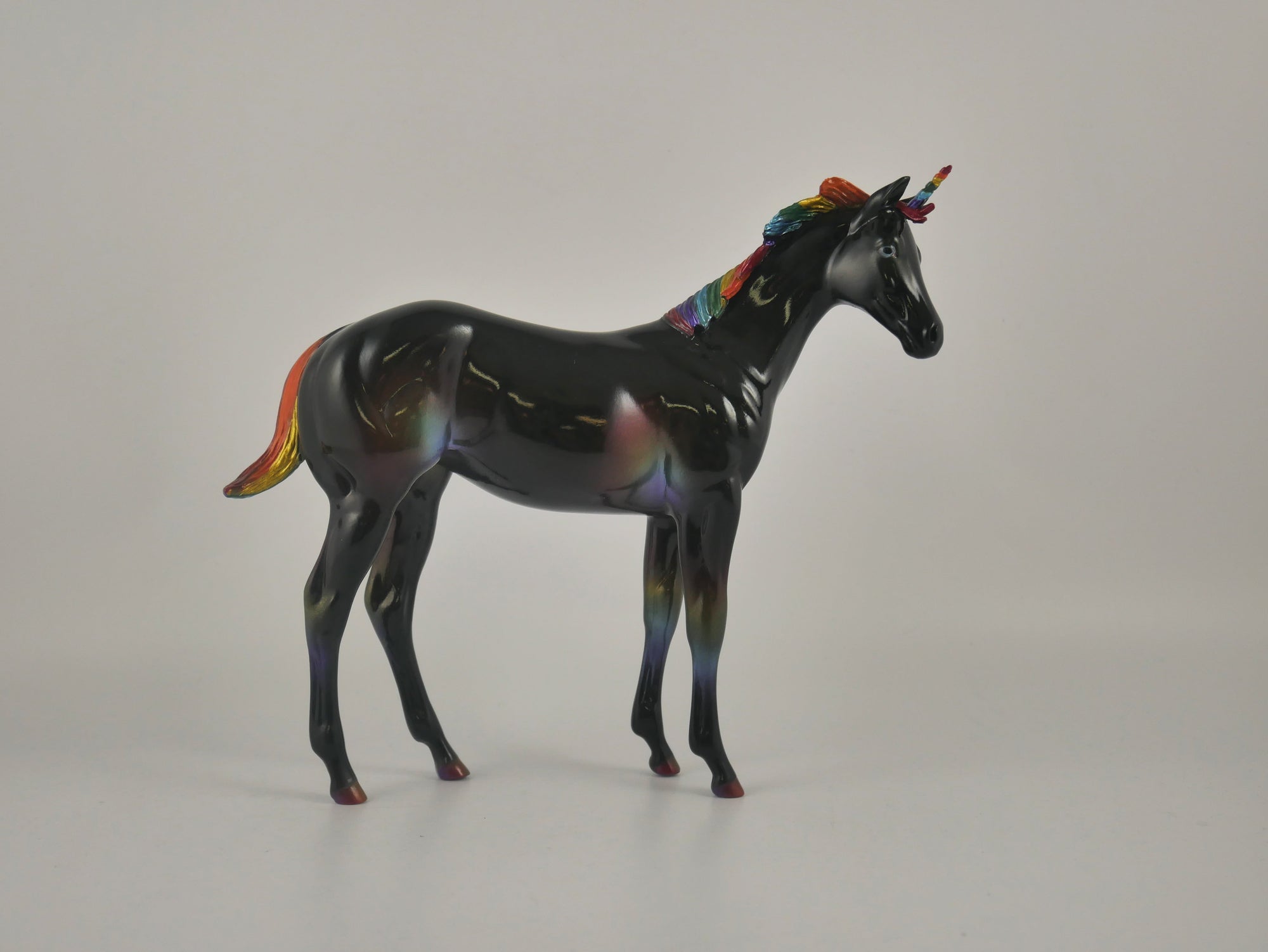 NIGHT RAINBOW-OOAK DECORATOR WEANLING EQ 2020