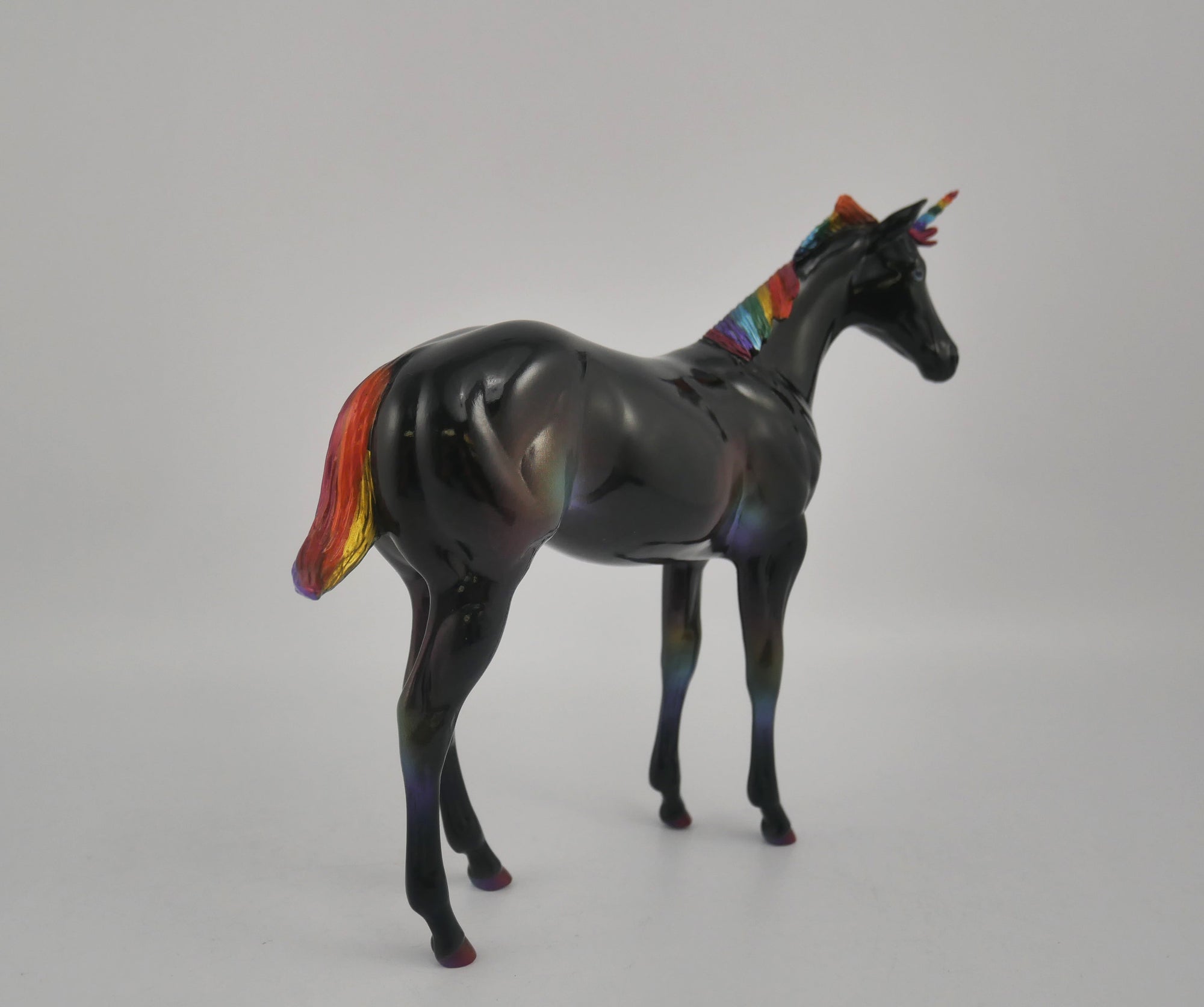 NIGHT RAINBOW-OOAK DECORATOR WEANLING EQ 2020