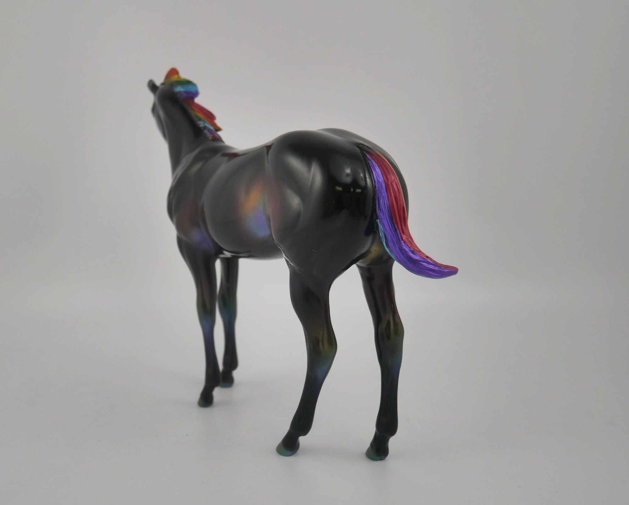 NIGHT RAINBOW-OOAK DECORATOR WEANLING EQ 2020