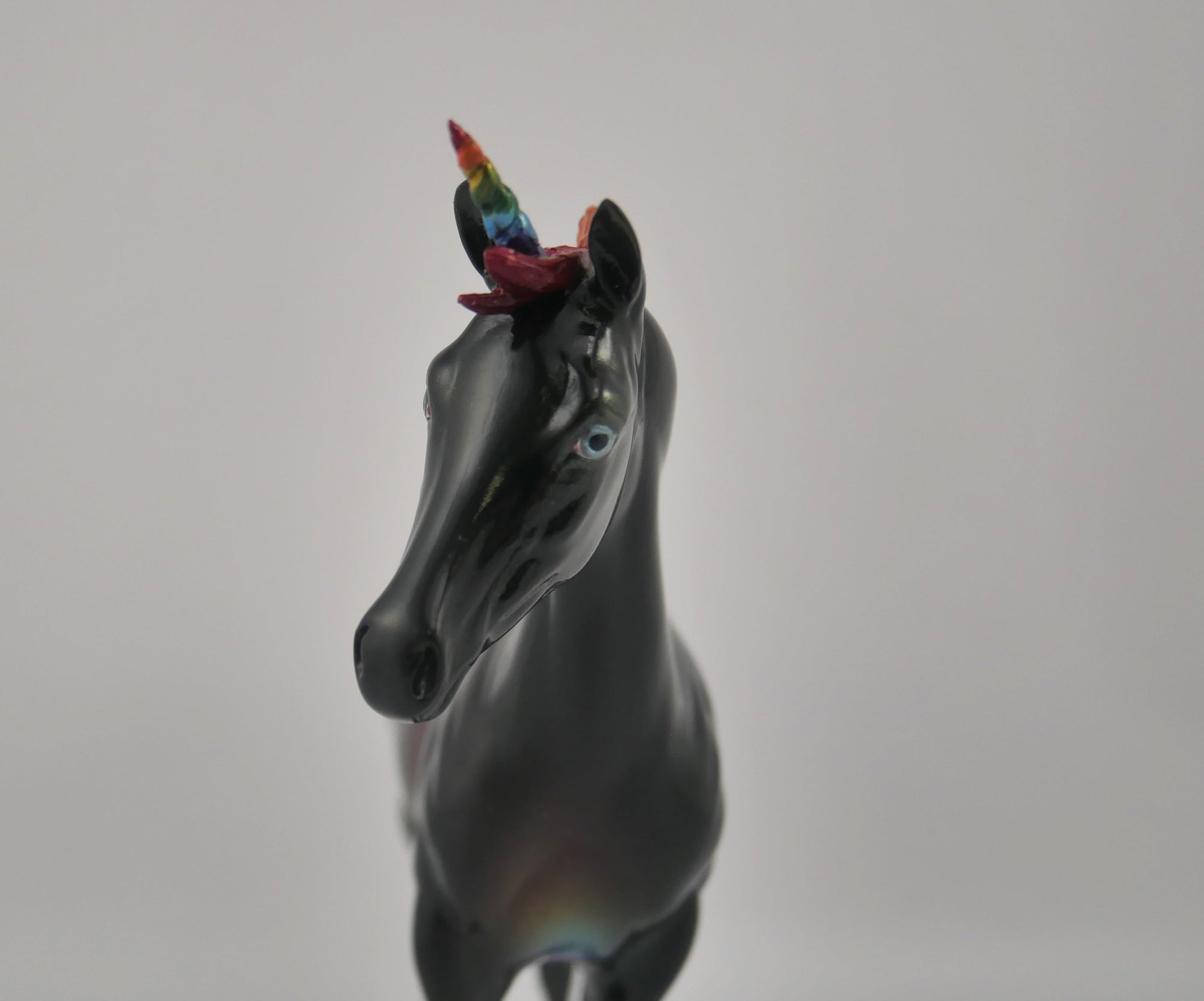 NIGHT RAINBOW-OOAK DECORATOR WEANLING EQ 2020