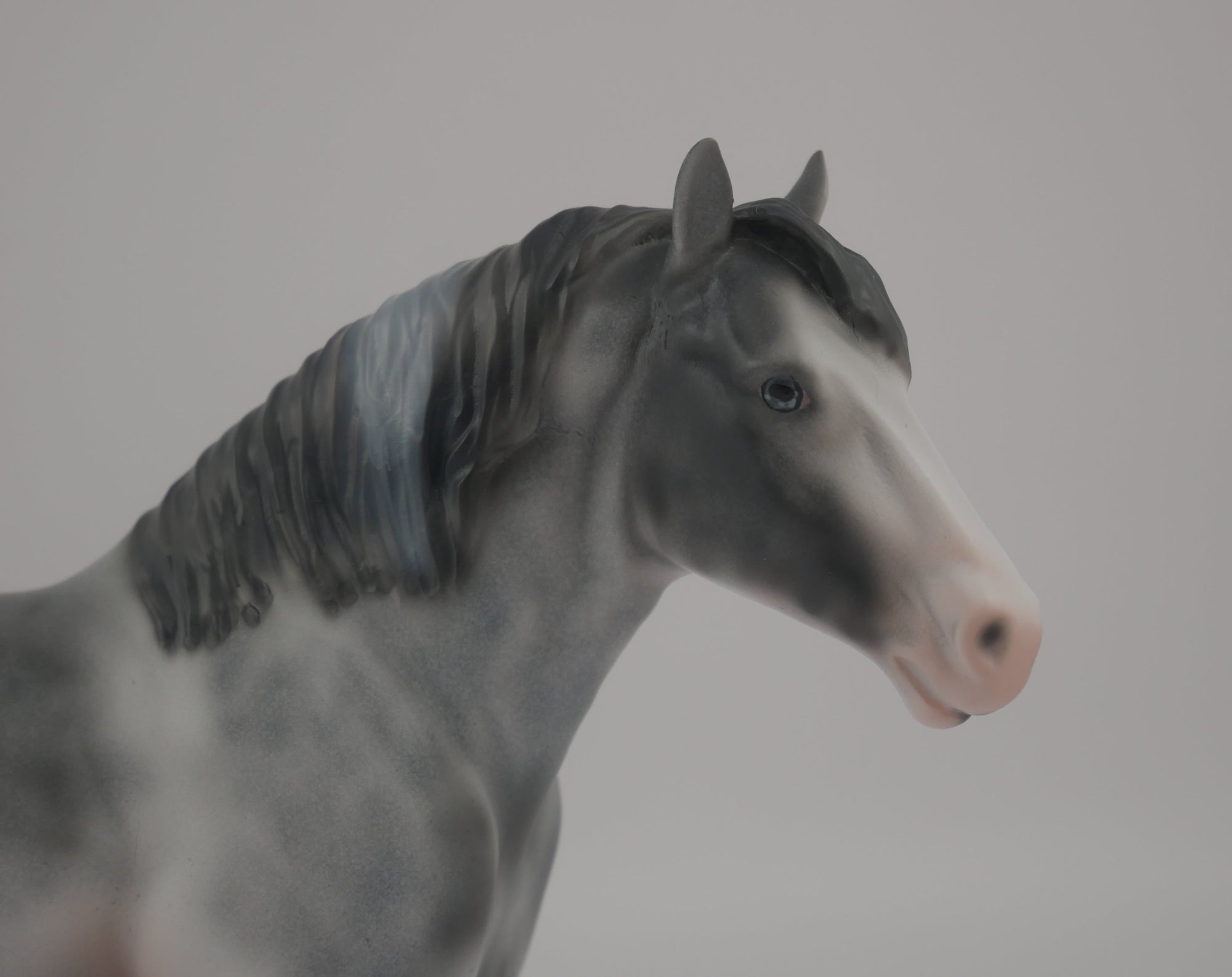 MINI PICASSO PEBBLE-LE-20-BLUE ROAN SABINO DRAFT PEBBLES EQ 2020