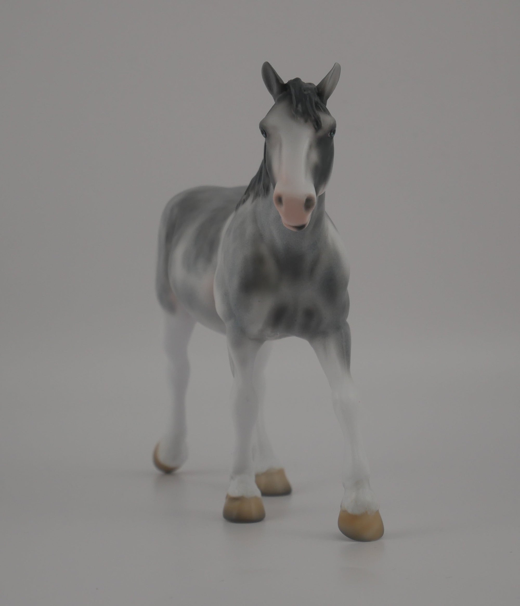 MINI PICASSO PEBBLE-LE-20-BLUE ROAN SABINO DRAFT PEBBLES EQ 2020