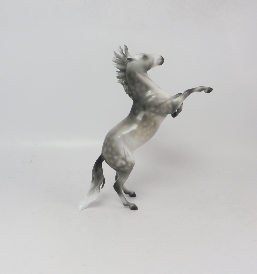 STORM- LE-30 DAPPLED GREY CUSTOM REARING PEBBLE BY AUDREY DIXON EQUINE AFFAIRE 19 AND MIDWEST 19