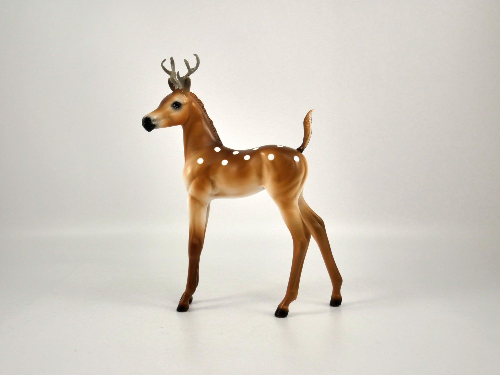 Dasher-LE-6 Reindeer Buck 12/18/20