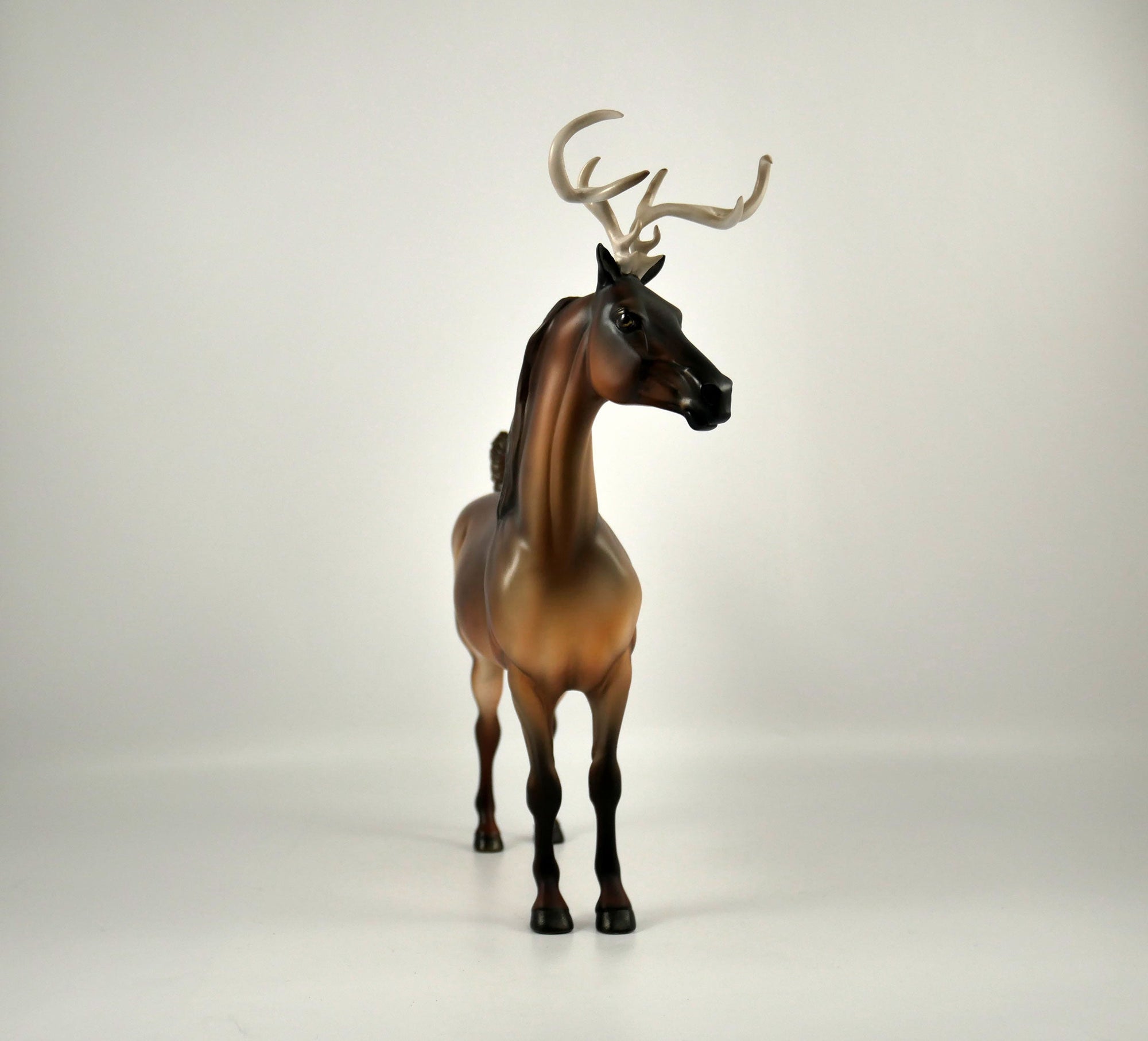 Blitzen-LE-5 Reindeer Morgan 12/18/20