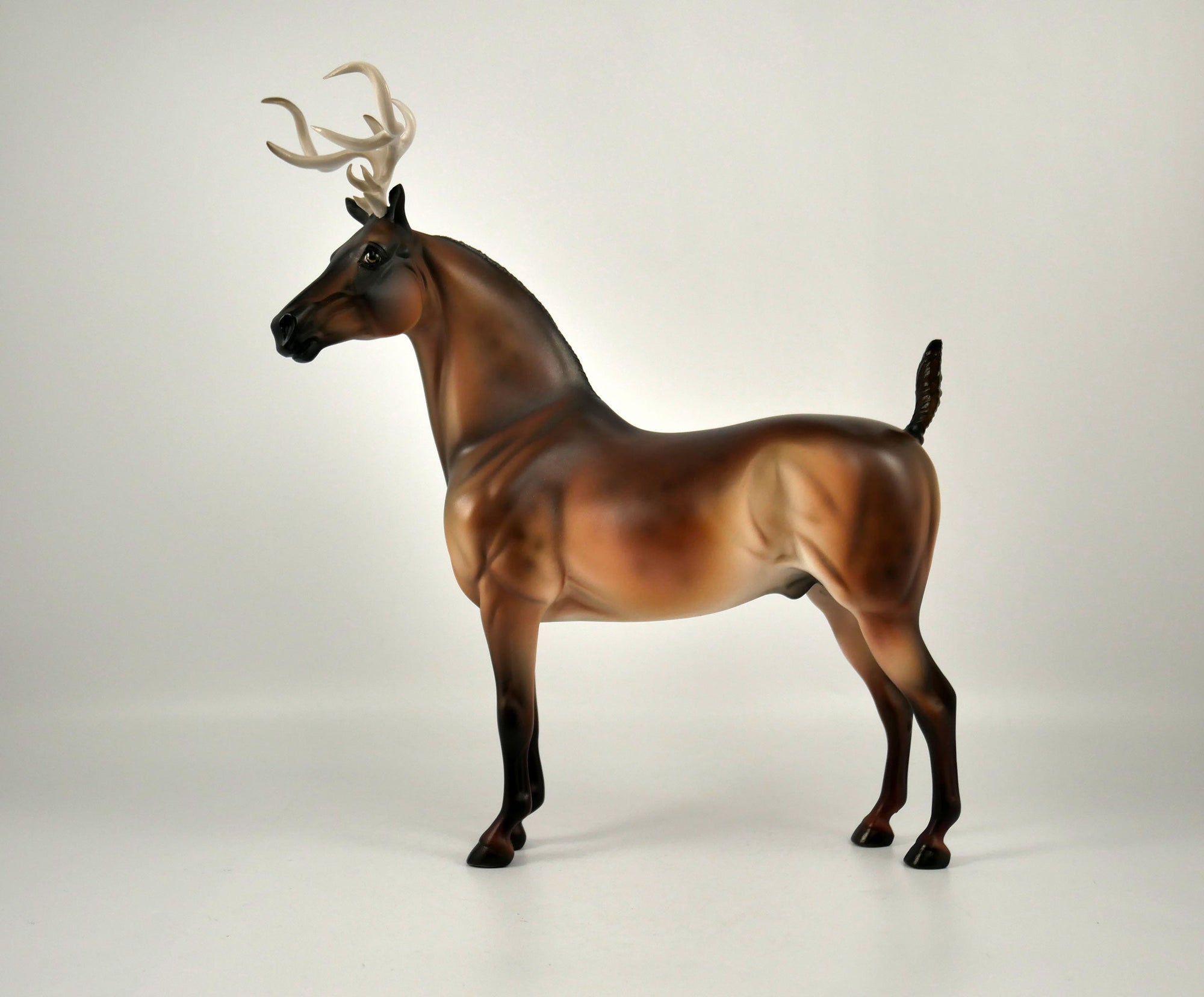 Blitzen-LE-5 Reindeer Morgan 12/18/20