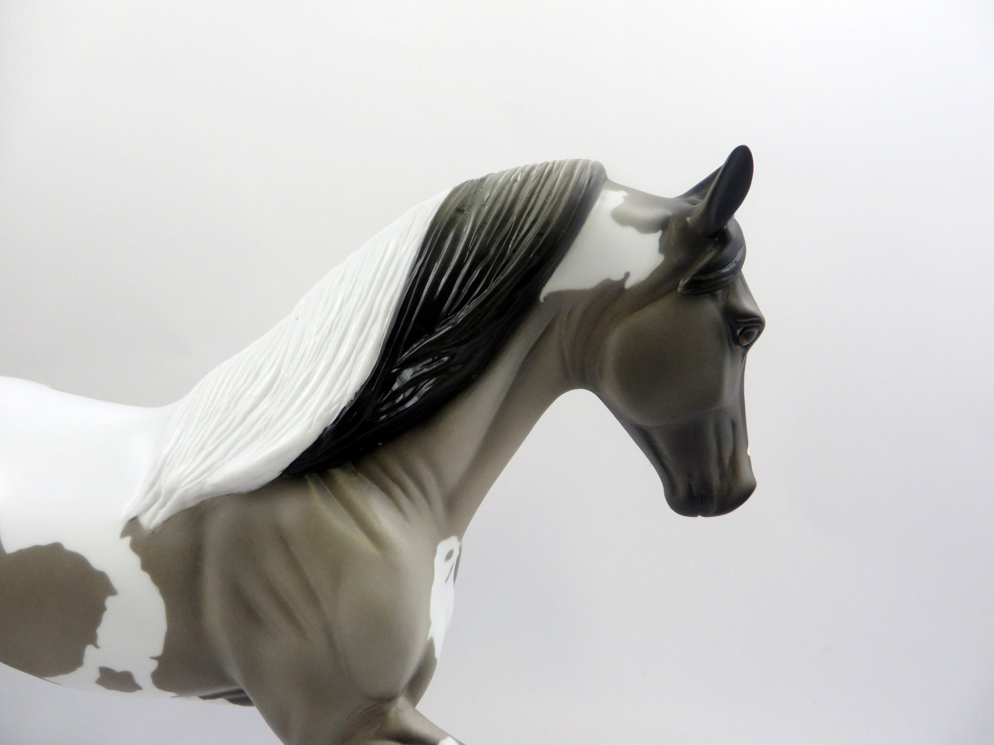 ROYAL STEED-OOAK GRULLA PINTO TENNESSEE WALKER MODEL HORSE EQ 19