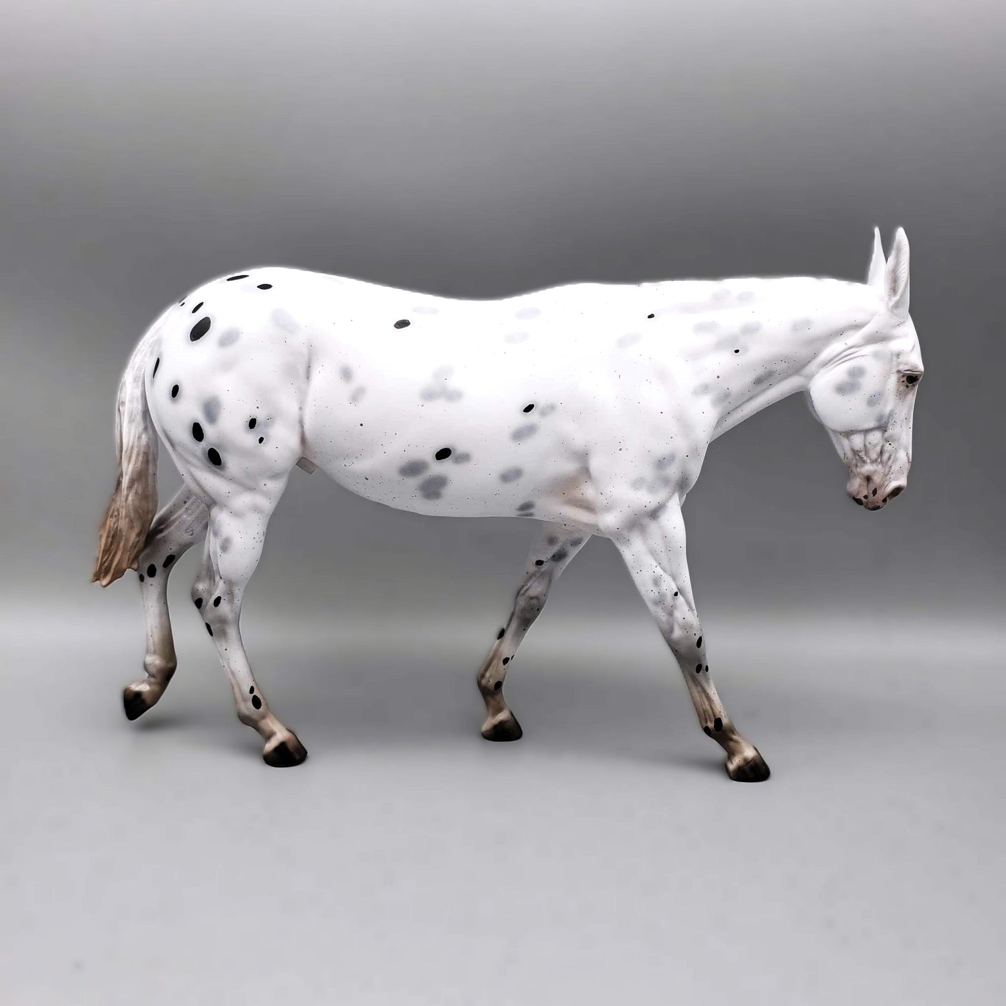Ebenezer Scrooge from A Christmas Carol LE-31 Black Appaloosa Going Grey Pinned Ear Gelding Mule 😍 By Ellen Robbins Classic Literature 2023 CL23