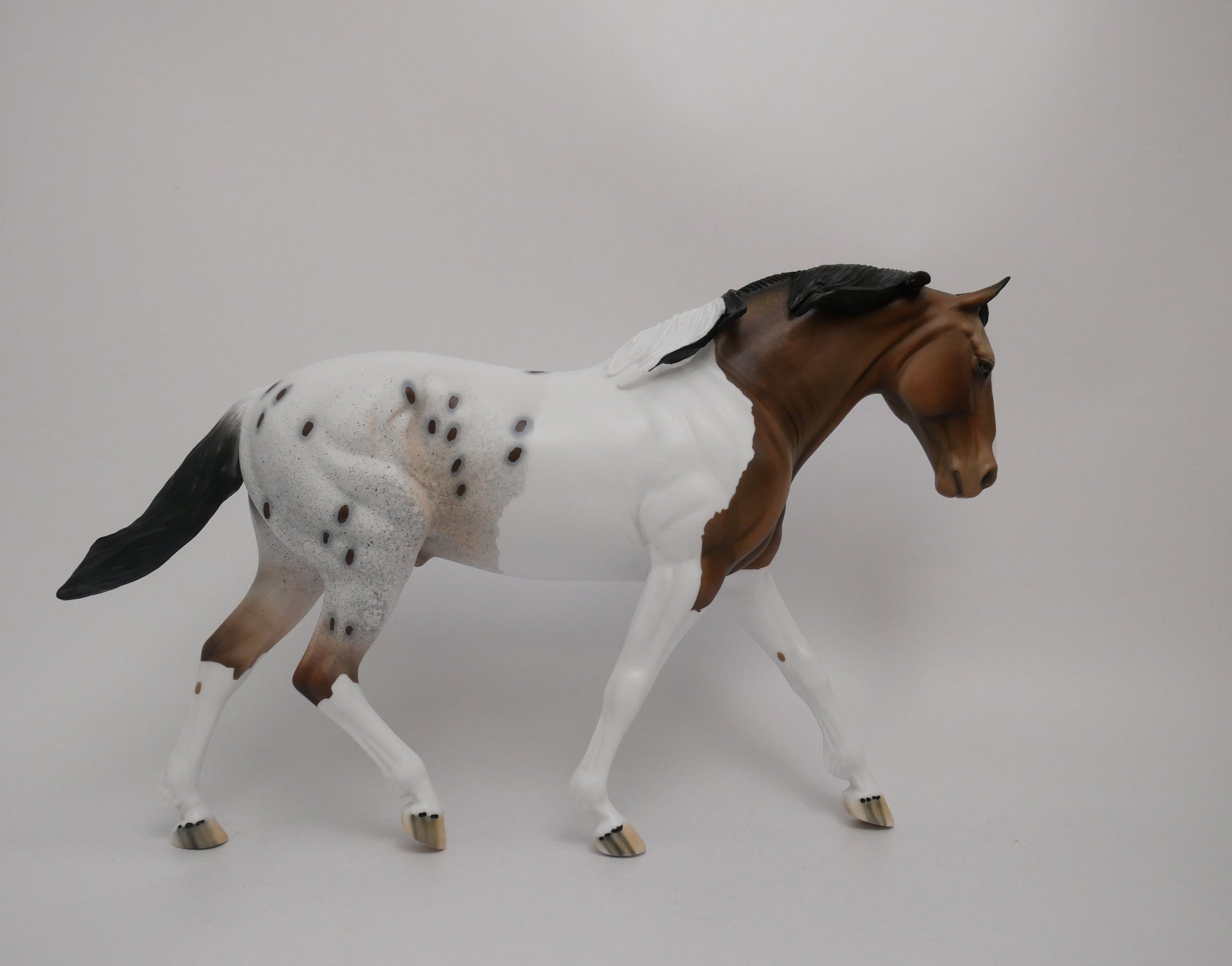 SPARKLER-LE-10 CUSTOM BUCKSKIN PAINTALOOSA IRISH DRAFTER MODEL HORSE 6/30/20