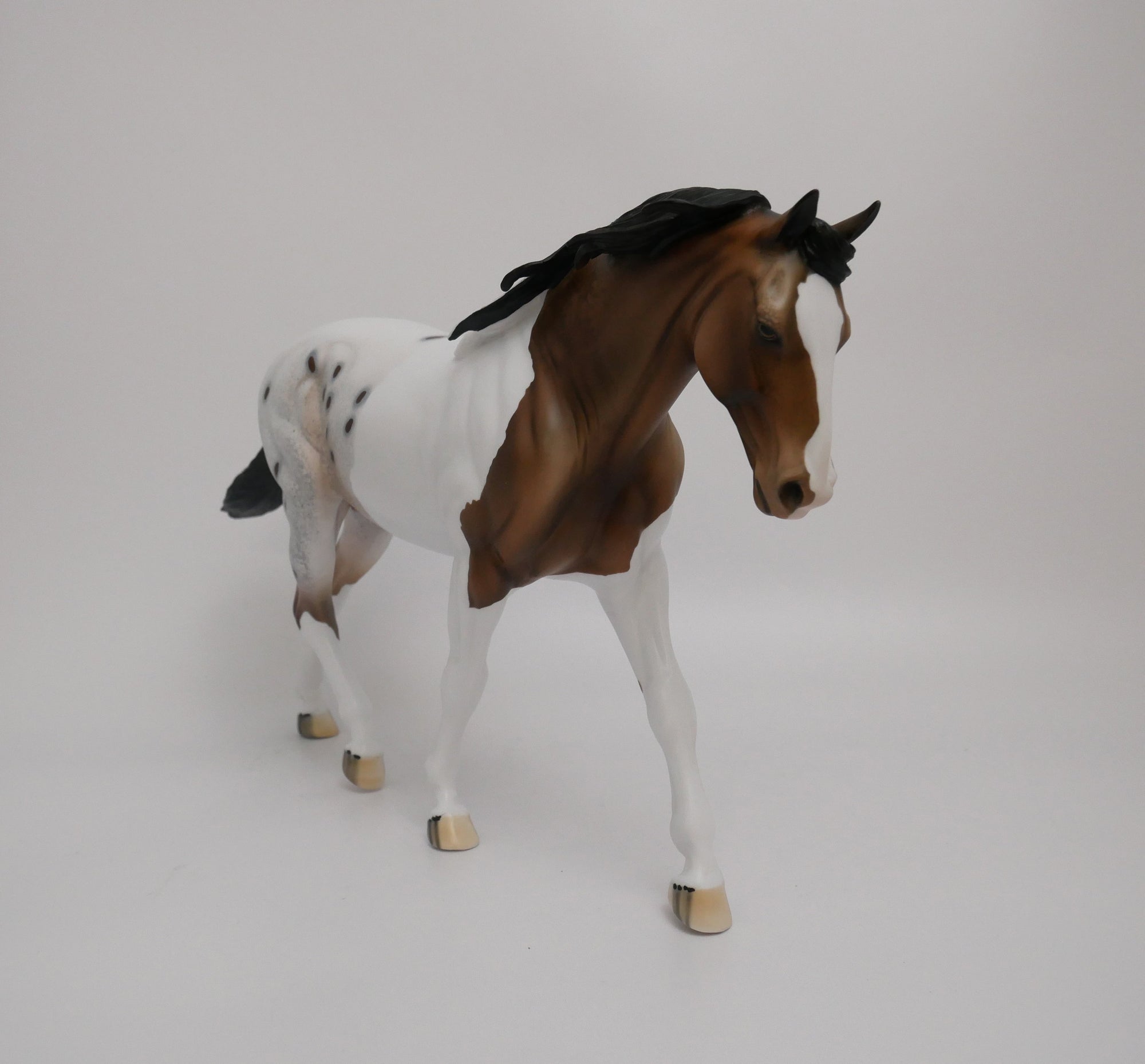 SPARKLER-LE-10 CUSTOM BUCKSKIN PAINTALOOSA IRISH DRAFTER MODEL HORSE 6/30/20