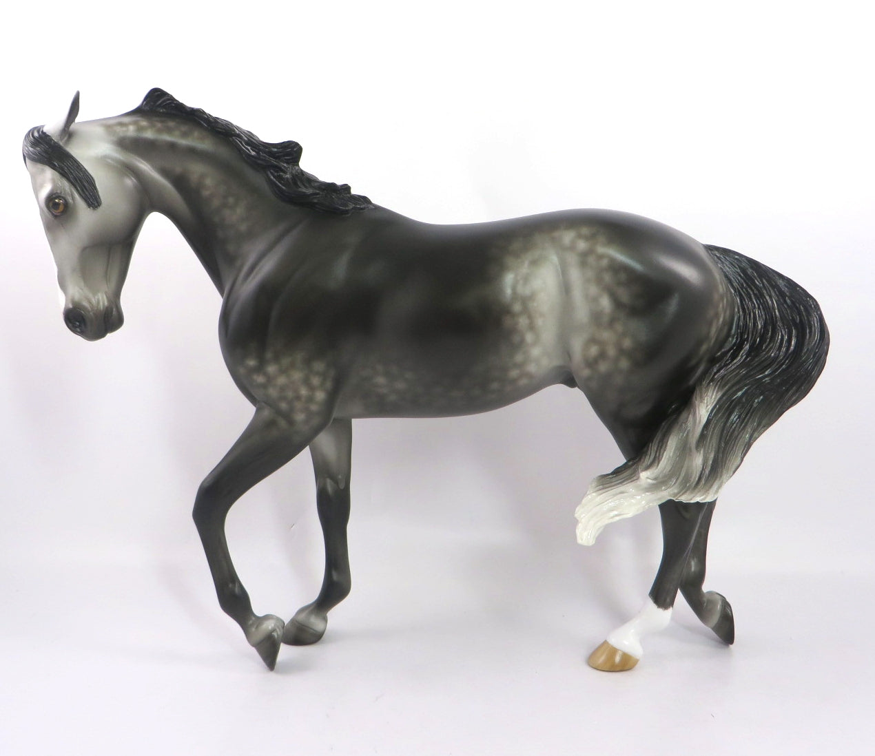 dark grey throughbred