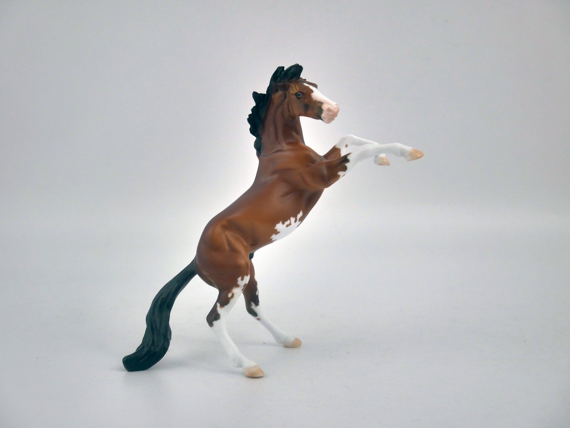 EQUILOCITY 2020 GRAB BAGS