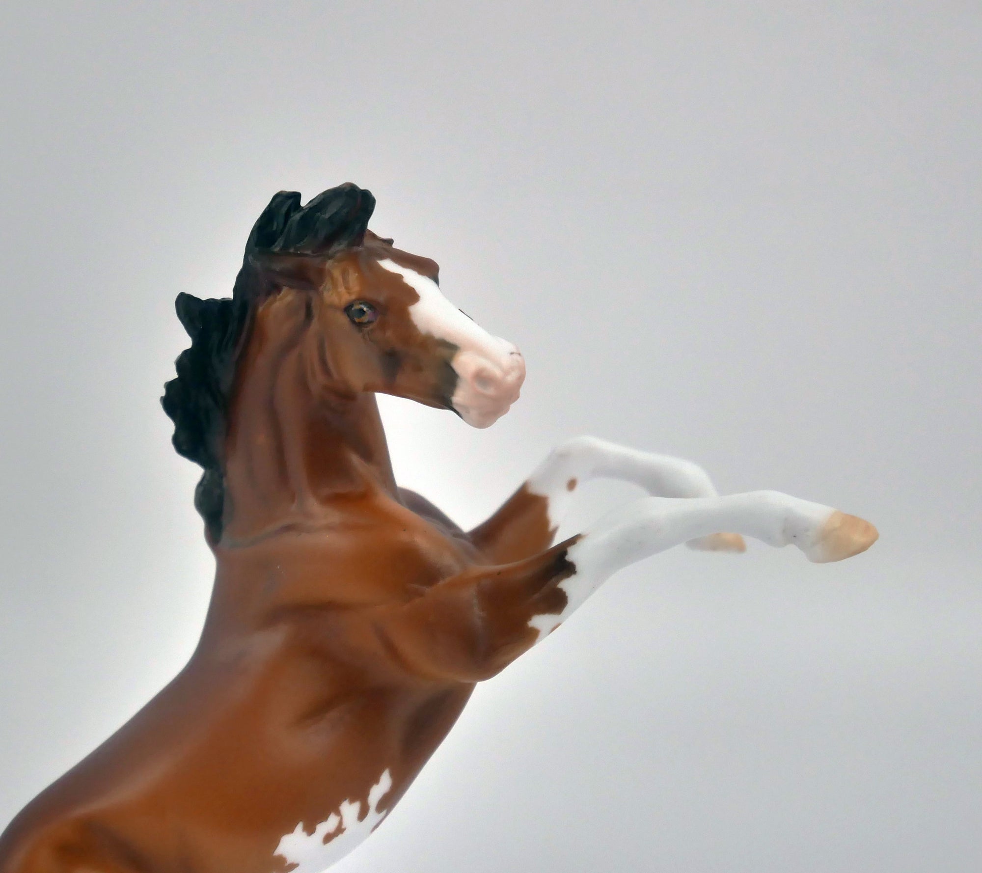 EQUILOCITY 2020 GRAB BAGS