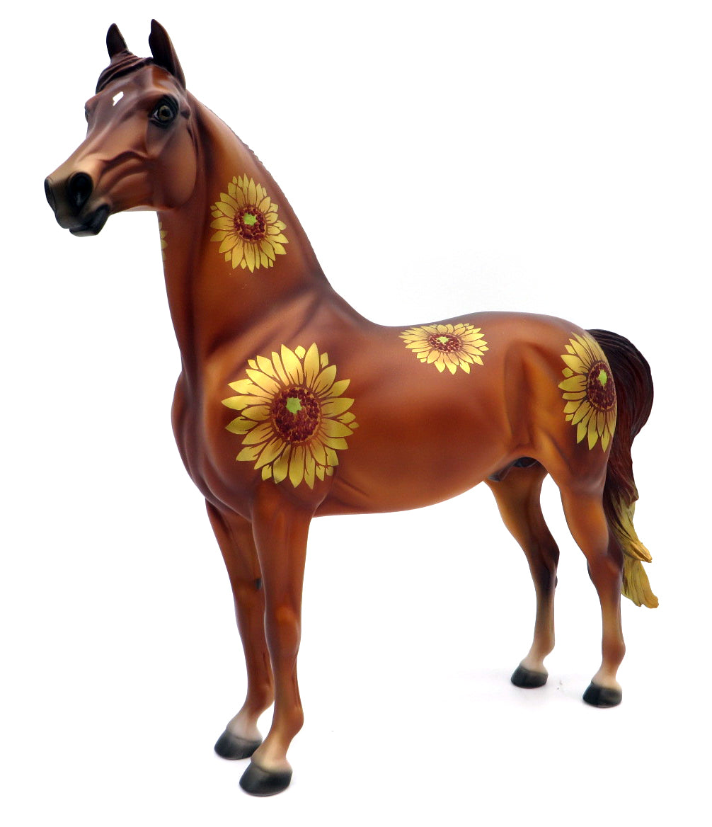 Maximilian-LE-3 Fall Sunflower Deco Morgan 11/12/21