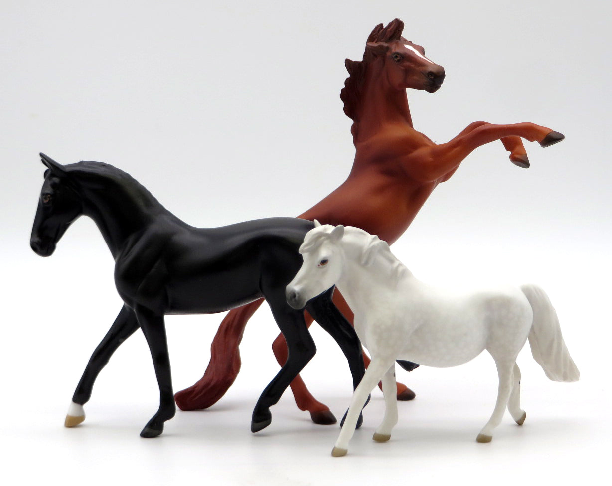 Black Beauty Chip Set - Classic Literature 2022