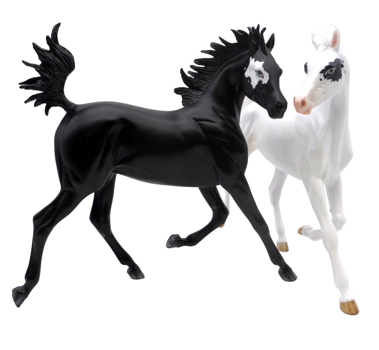 Dancers of Unity-Arabian Yearling AOTH 22