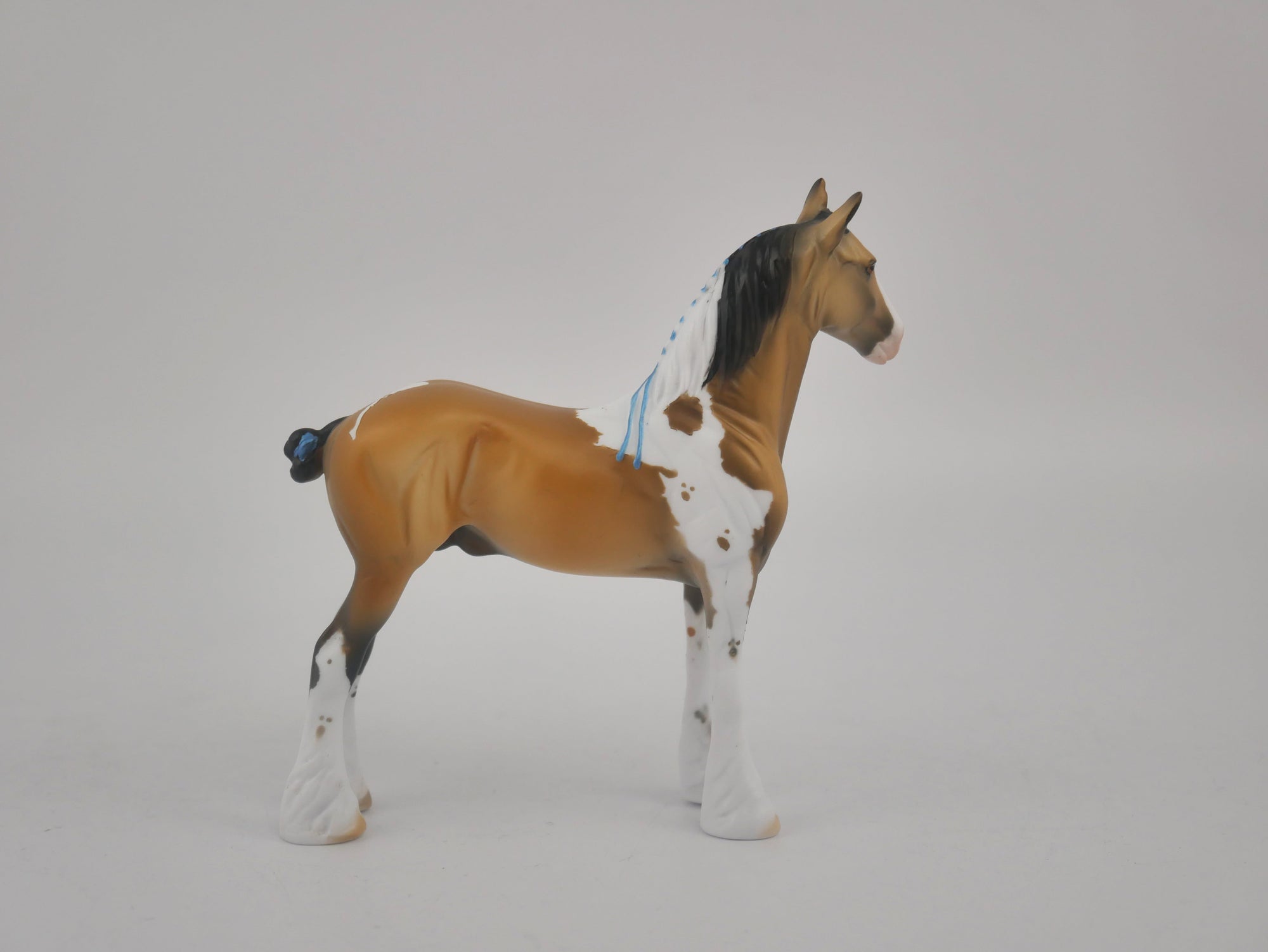 EQUILOCITY 2020 GRAB BAGS