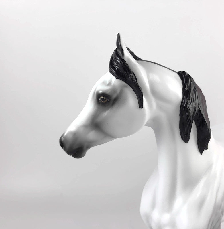 THE GREAT WALLENDEZ - LE-10 DAPPLE GREY ARABIAN MARE BY AUDREY DIXON