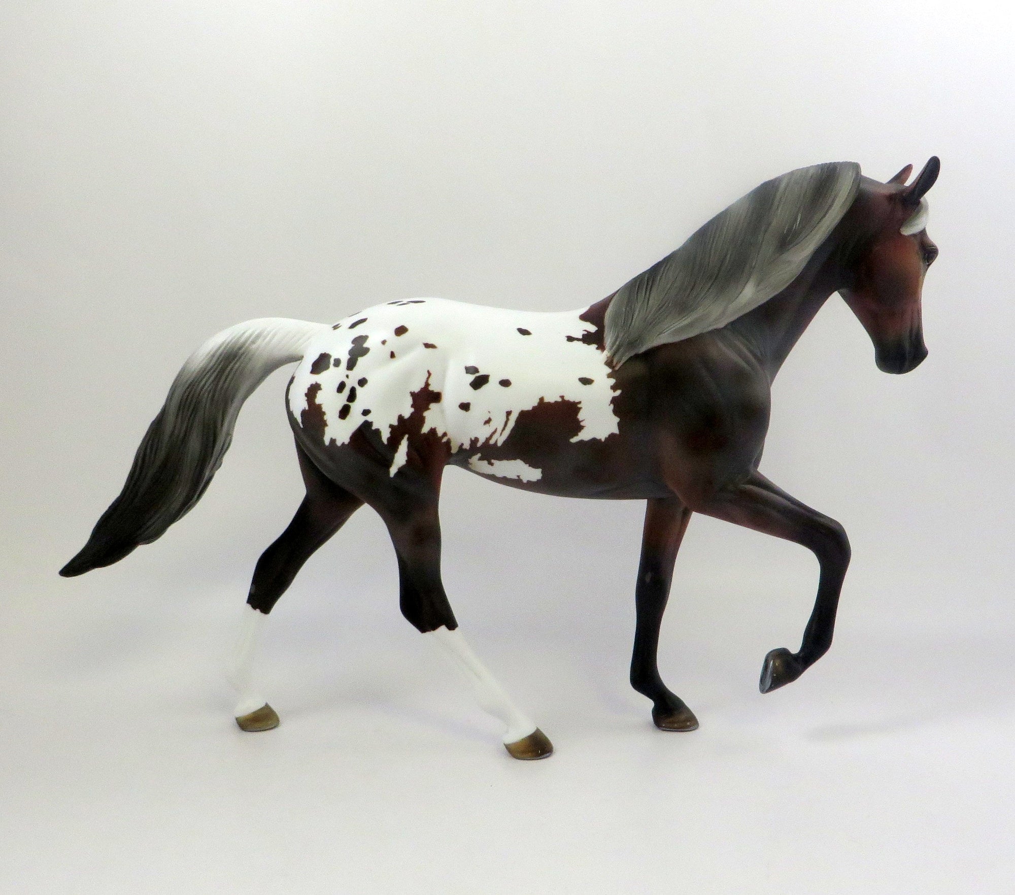 WARWICK-OOAK APPALOOSA TENNESSEE WALKER MODEL HORSE EQ 2019