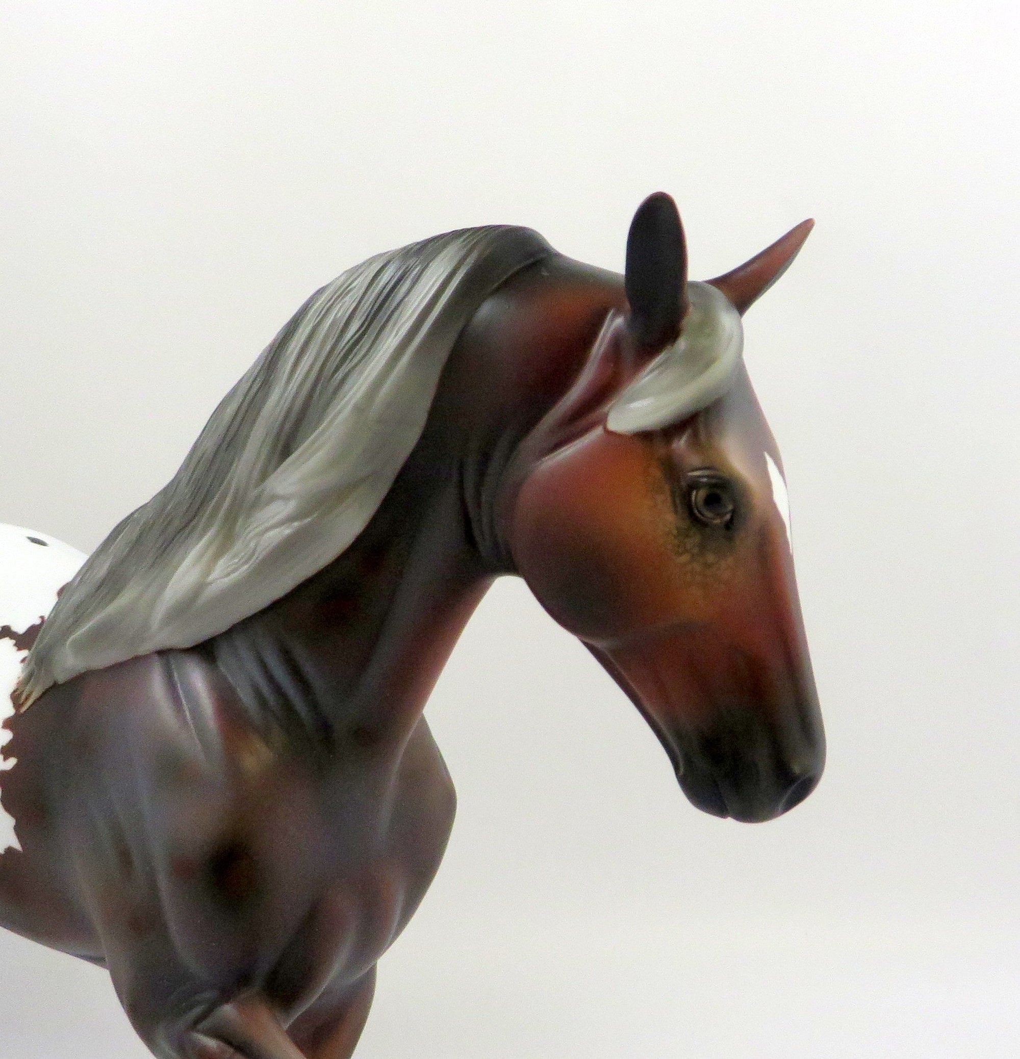 WARWICK-OOAK APPALOOSA TENNESSEE WALKER MODEL HORSE EQ 2019