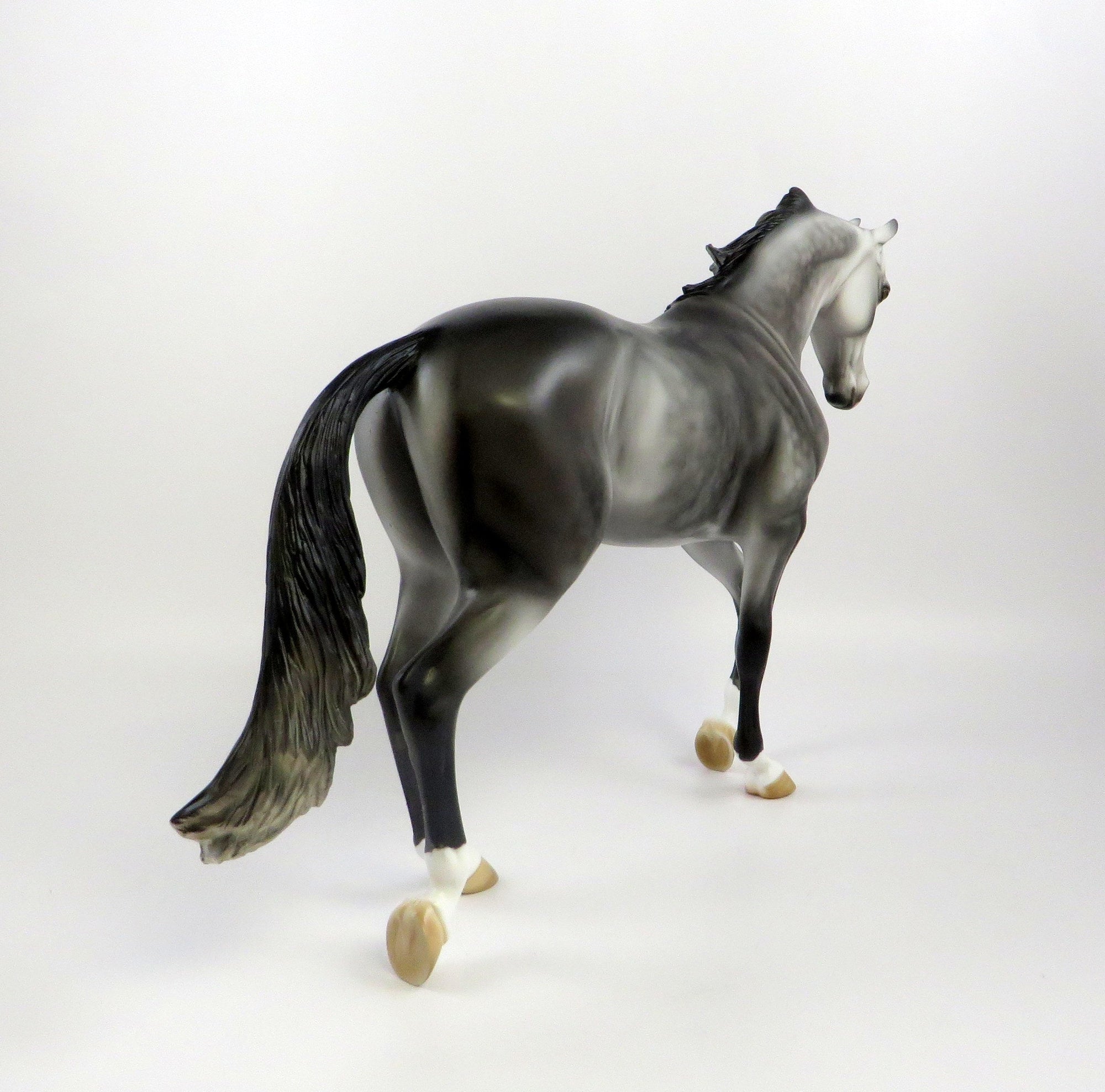 PRINCE WILLIAM-LE-5 DAPPLE ROSE GREY THOROUGHBRED MODEL HORSE EQ 19 noncustom