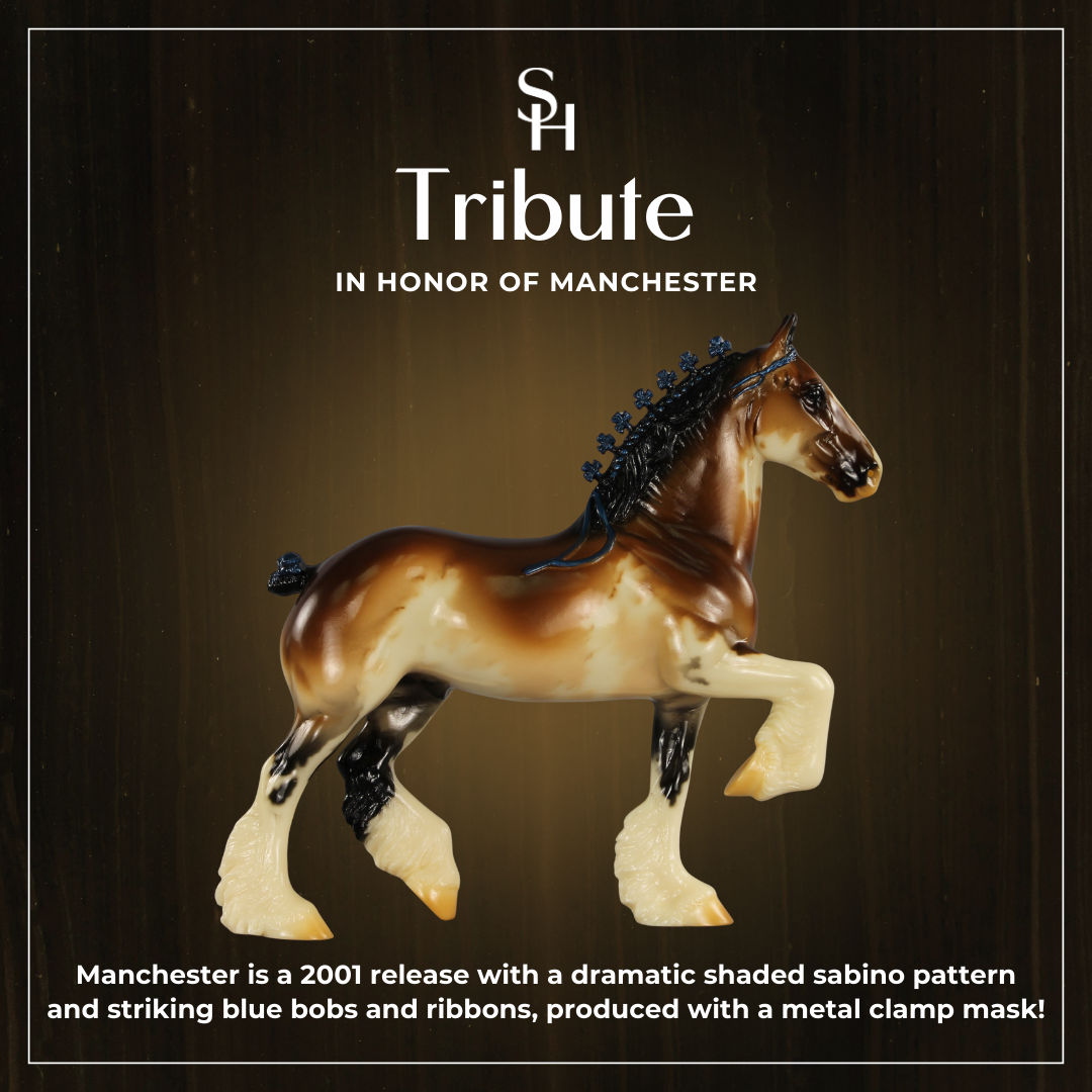 A Tribute to Manchester