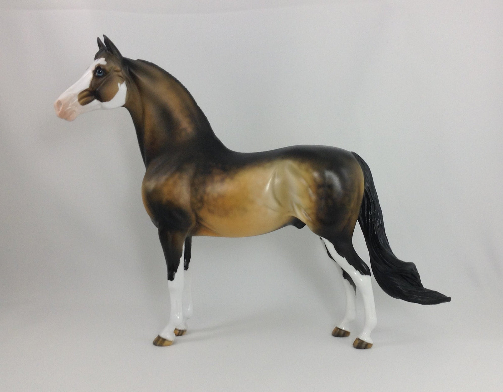 PUMPKIN KING - OOAK Sooty Buckskin Morgan