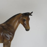 DEER IN THE HEADLIGHTS - OOAK Brown Appaloosa Model Horse with Antlers Weanling - 2/15