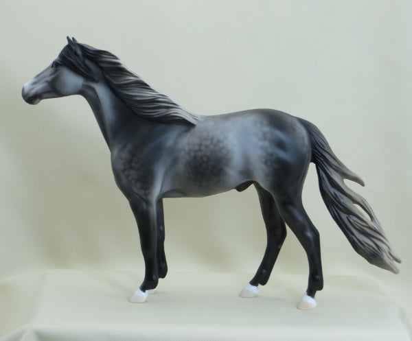 EQUINOX - Dapple Gray Spanish Mustang LE5 3/15