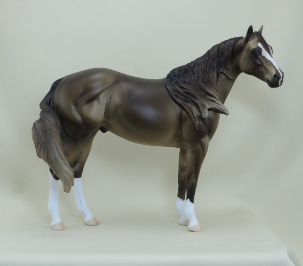 DUNE - OOAK Dapple Dark Champagne Stock Horse with Mapping - 4/15