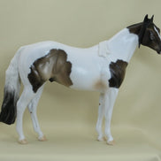 PEDUNCLE - OOAK Sooty Buckskin Paint with Mapping - 3/15