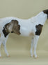 PEDUNCLE - OOAK Sooty Buckskin Paint with Mapping - 3/15