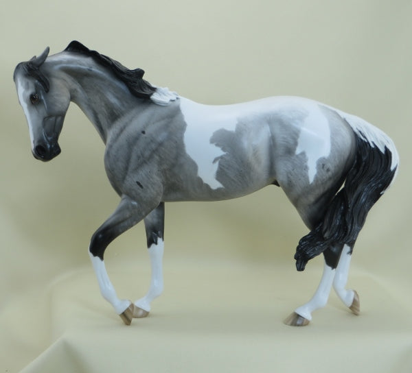 HOLD THE LINE - OOAK Blue Roan Pinto Thoroughbred by Sheryl Leisure 3/15