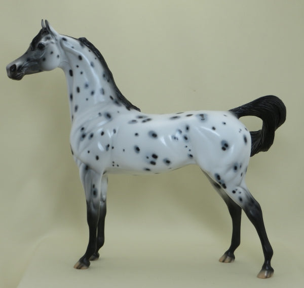 SEQUENCE - OOAK Leopard Appaloosa Arabian Mare  4/15