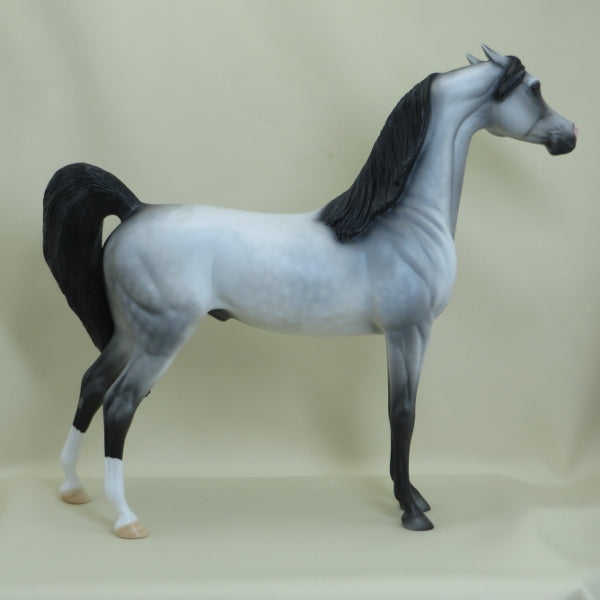 TAKE CHARGE - Dapple Gray Pinned Ear Arabian Model Horse with Black Points - LE2 - 3/15