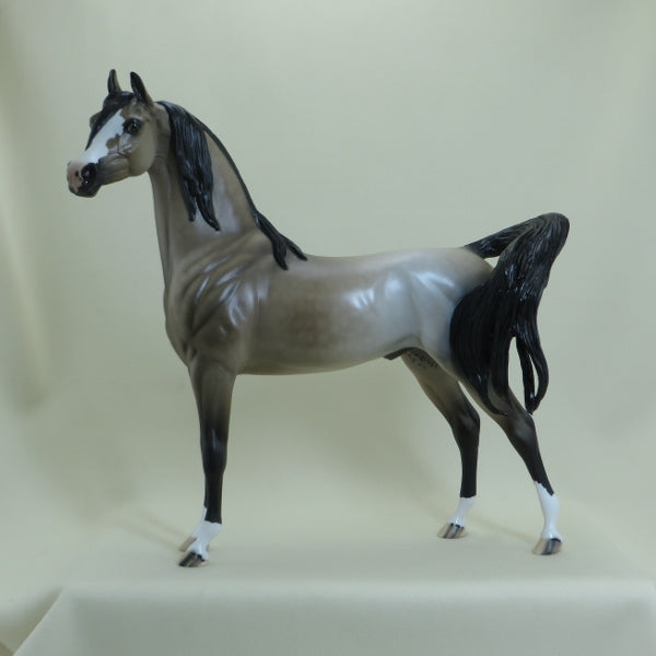CHAPIN' MANSION - Dapple Silver Buckskin Arabian LE3 4/15