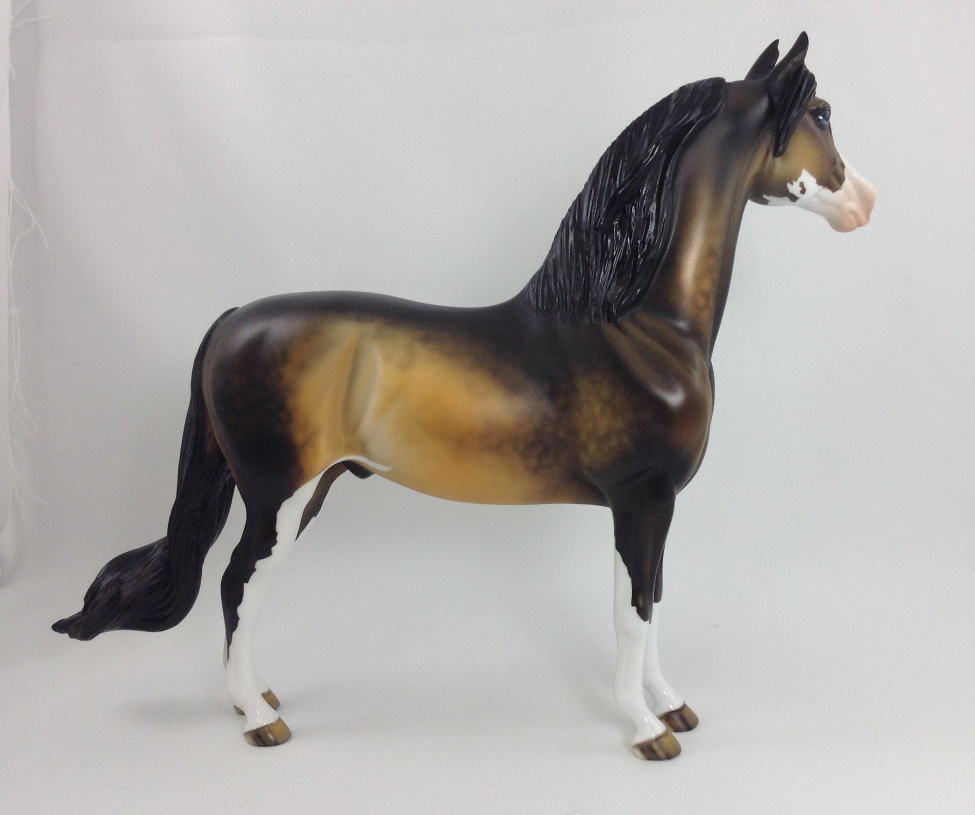 PUMPKIN KING - OOAK Sooty Buckskin Morgan