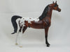 ULYSSES S GRANT - Dapple Bay Appaloosa Arabian LE 3 2/15