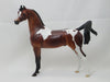 OMGOSH - OOAK Dapple Bay Pinto Marwari Arabian 2/15