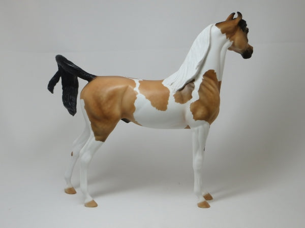 JOY OF A TOY - OOAK Buckskin Pinto Marwari Arabian 12/14
