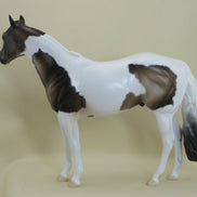PEDUNCLE - OOAK Sooty Buckskin Paint with Mapping - 3/15