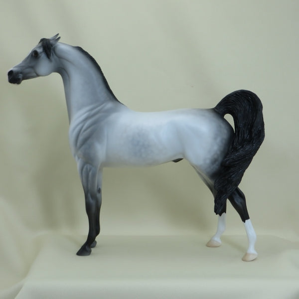 TAKE CHARGE - Dapple Gray Pinned Ear Arabian Model Horse with Black Points - LE2 - 3/15
