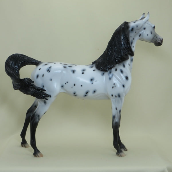 SEQUENCE - OOAK Leopard Appaloosa Arabian Mare  4/15
