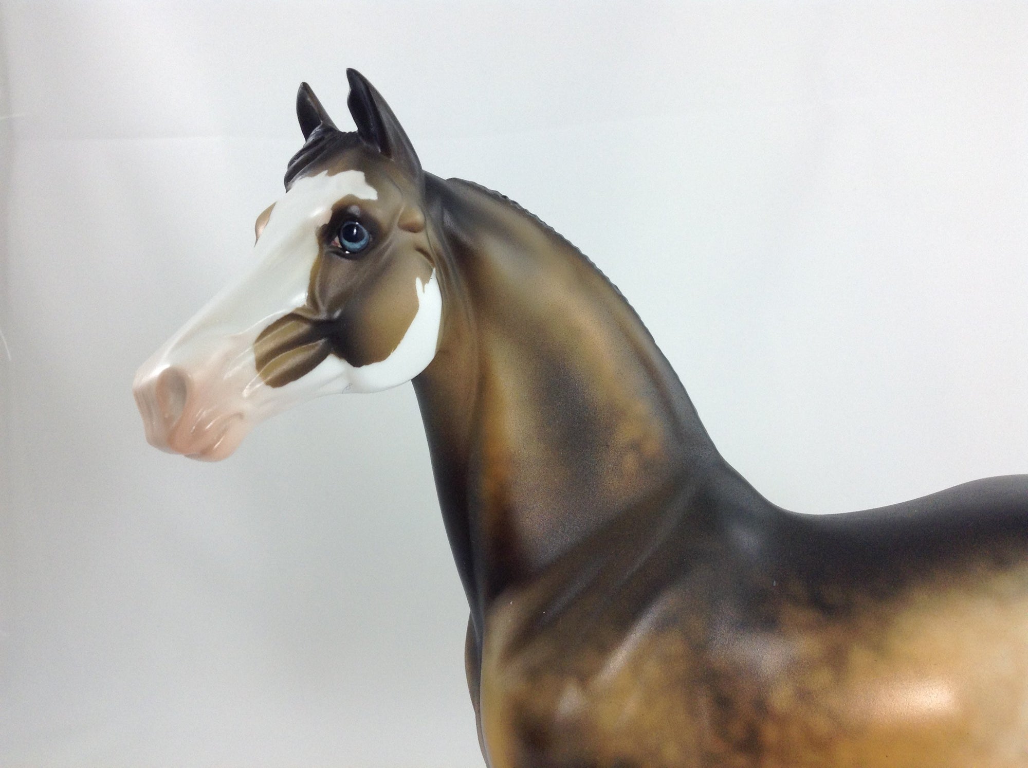 PUMPKIN KING - OOAK Sooty Buckskin Morgan