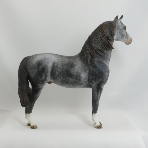 MAMA&#39;S BOX - OOAK Dapple Gray Morgan 5/15