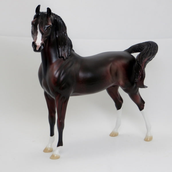 WHIPLASH - OOAK Dark Dapple Red Chestnut Arabian 2/15
