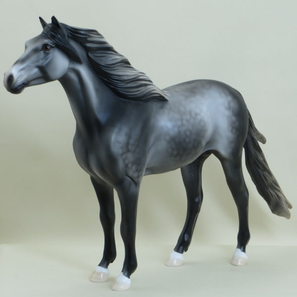 EQUINOX - Dapple Gray Spanish Mustang LE5 3/15